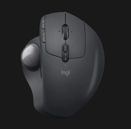 Ergo Mouse Graphite 910-005179